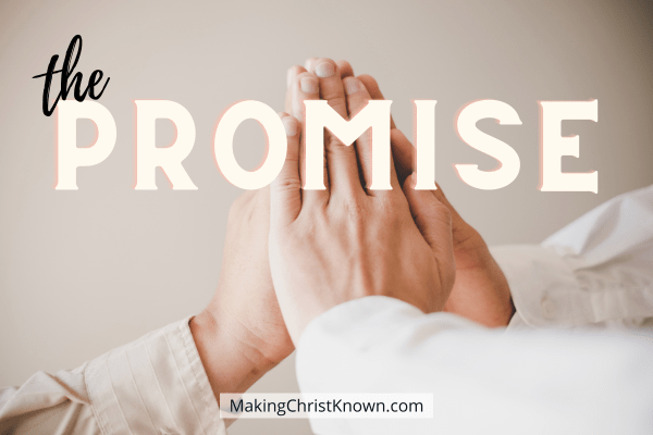 God Promises Abram a Son