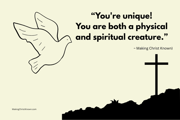 physical and spiritual creature meme