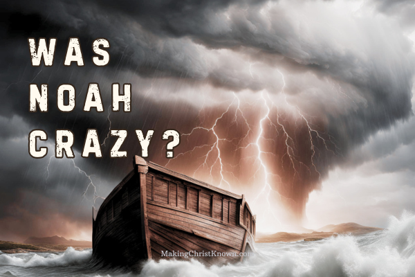 Noah Part 1 - Was Noah Crazy or Obedient? Bible study about Noah's Ark in Genesis.