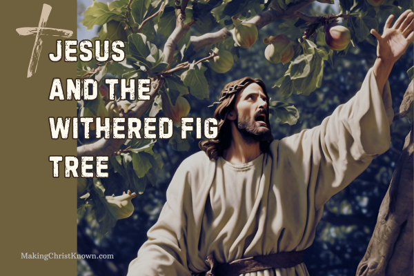 A Question of Faith - Jesus and the Withered Fig Tree