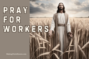 Pray for Workers – Bible Study from Matthew 9