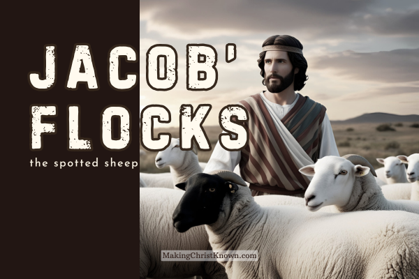 Bible Study Lesson: Jacob's Flocks, the Spotted Sheep, and God's Promise of Prosperity
