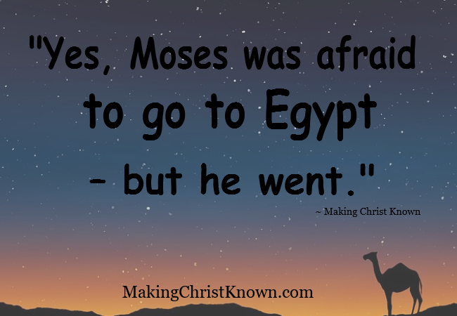 Moses Returns to Egypt Meme