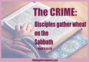 Disciples gather wheat on the Sabbath