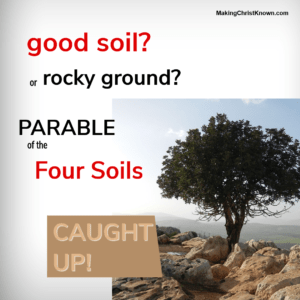 good soil or rocky ground