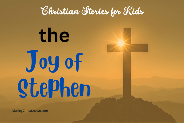 The Joy of Stephen