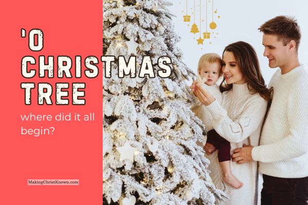 The Origin of the Christmas Tree: A Christian Reflection for the Advent Season
